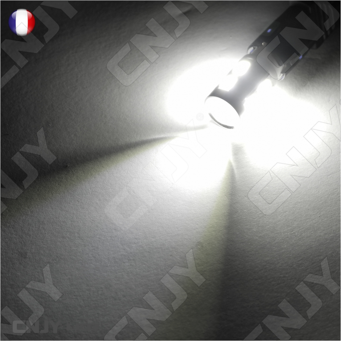 OcioDual Lot de 2 Ampoules LED 5050 T10 W5W Blanche à Effet Xénon 12V