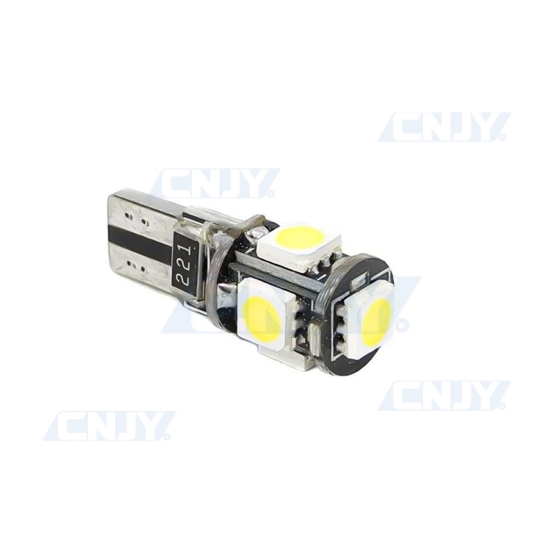 NATGIC W5W T10 Ampoules LED CanBus Sans Erreur 3014 30SMD pour éclairage  Intérieur de Voiture Feux